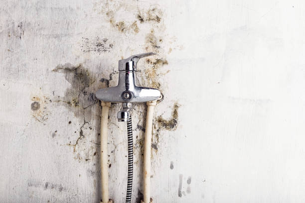 Best Post-Flood Mold Remediation in Lake Wynonah, PA