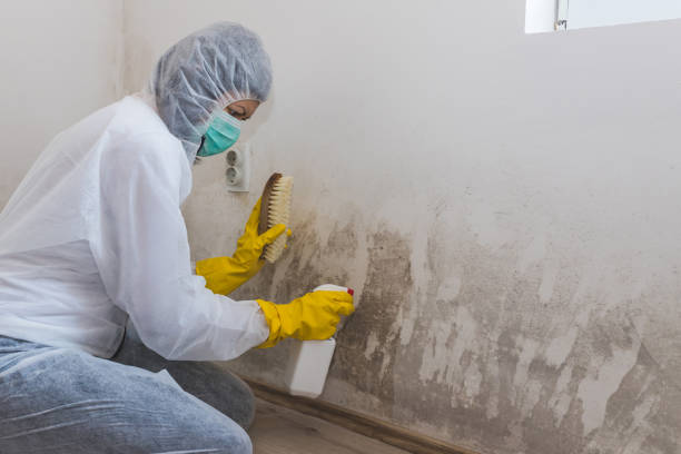 Best HVAC Mold Remediation in Lake Wynonah, PA